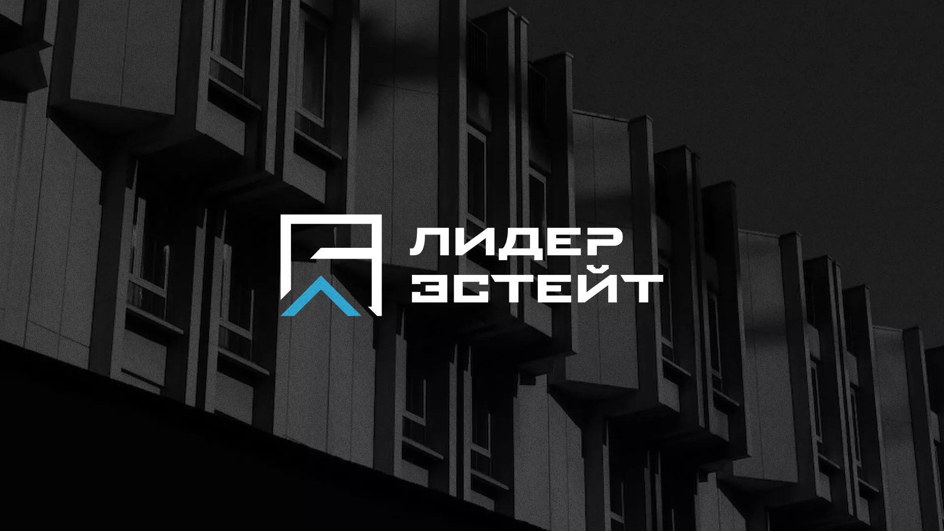 Разработка логотипа агентства недвижимости «Лидер Эстейт» в Казани